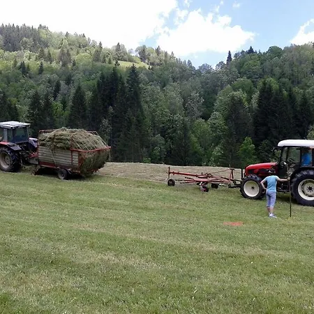 Gasthof Turisticna Kmetija Ramsak 3*