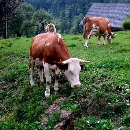 Turisticna Kmetija Ramsak Gasthof 3*